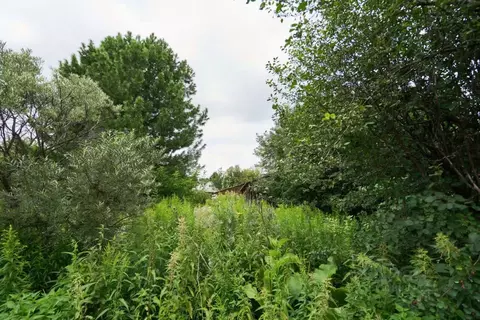 Участок в Томская область, Томский район, Богашевское с/пос, Лесник-2 ...