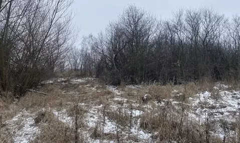 Участок в Московская область, Серебряные Пруды муниципальный округ, д. ...