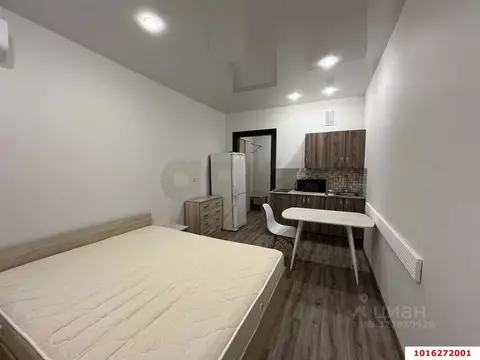 Студия Краснодарский край, Краснодар ул. Евгении Жигуленко (23.2 м)