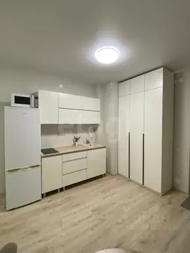 Студия Тюменская область, Тюмень ул. Геннадия Райкова, 19 (24.0 м)