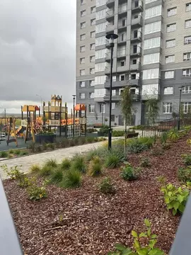 1-к кв. Владимирская область, Владимир ул. Нижняя Дуброва, 49А (33.05 ...