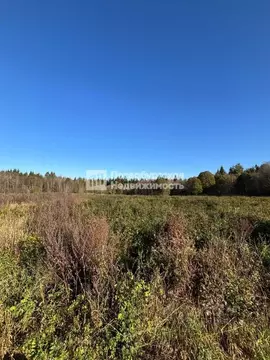 Участок в Ленинградская область, Лужский район, Толмачевское городское ...