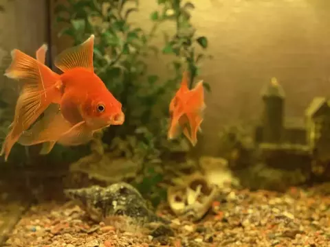 1-к кв. Карелия, Сортавала Советская ул., 2 (39.0 м)