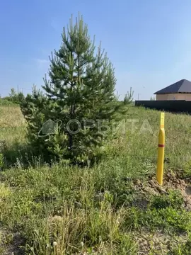 Участок в Тюменская область, Тюменский район, с. Успенка ул. ...