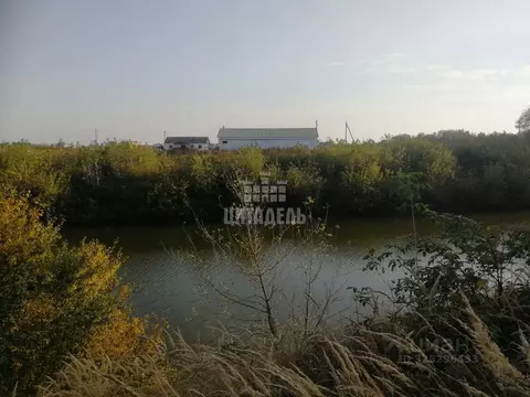 Участок в Воронежская область, Хохольское городское поселение, пос. ...