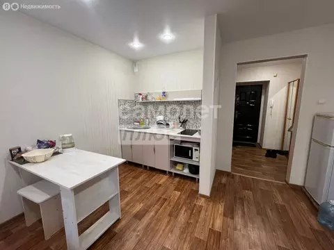 Квартира-студия: Благовещенск, Зейская улица, 285 (25 м)