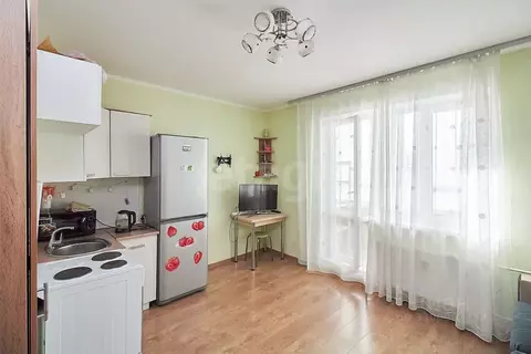 Студия Тюменская область, Тюмень ул. Новоселов, 107к1 (25.0 м)