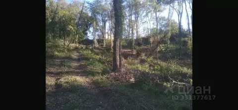 Участок в Краснодарский край, Сочи пос. Нижняя Беранда,  (204.8 сот.)