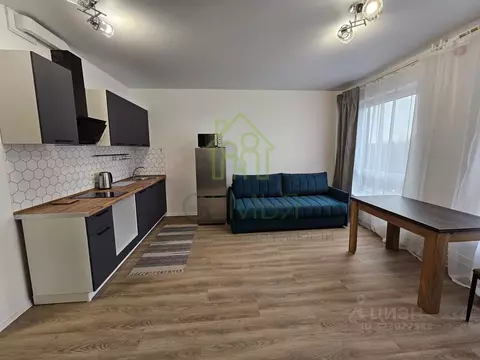 Студия Ленинградская область, Всеволожский район, Заневское городское ...