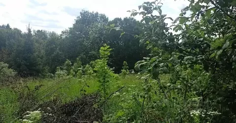 Участок в Московская область, Дмитровский муниципальный округ, д. ...