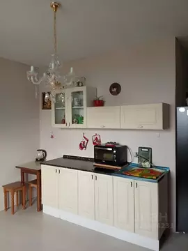 1-к кв. Московская область, Балашиха ш. Косинское, 12 (20.0 м)