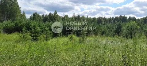 Участок в Свердловская область, Полевской муниципальный округ, с. ...