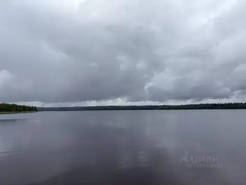 Участок в Ленинградская область, Приозерский район, Громовское с/пос, ...
