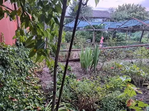 Участок в Адыгея, Майкоп ул. Ломоносова (6.5 сот.)