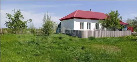 Дом в Воронежская область, Борисоглебский городской округ, с. Богана  ...