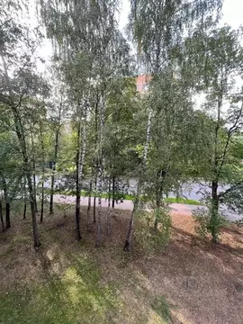 2-к кв. Московская область, Раменское ул. Космонавтов, 32 (43.0 м)