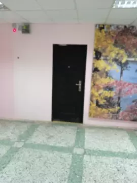 Помещение свободного назначения в Архангельская область, Мирный ул. ...