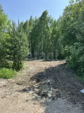 Участок в Тюменская область, Тюменский муниципальный округ, с. Гусево  ...