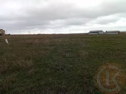 Участок в Крым, Черноморский район, с. Межводное ул. Парковая, 31 ...