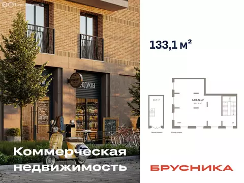 Помещение свободного назначения (133.1 м)