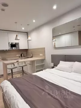 1-к кв. Санкт-Петербург Социалистическая ул., 21 (26.0 м)