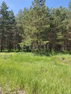 Участок в Саратовская область, Балашовский район, с. Большой Мелик ул. ...