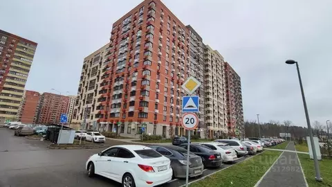 Студия Московская область, Пушкино ул. Просвещения, 12к2 (23.7 м)