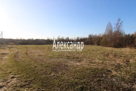 Участок в Ленинградская область, Выборгский район, Каменногорское ...