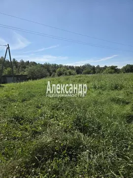 Участок в Ленинградская область, Волховский район, Потанинское с/пос, ...