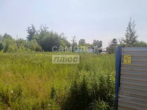 Участок в Калужская область, Совхоз Боровский с/пос, д. Мишково  ...