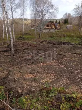 Участок в Алтайский край, Алтайский район, Айский сельсовет, с. Ая  ...