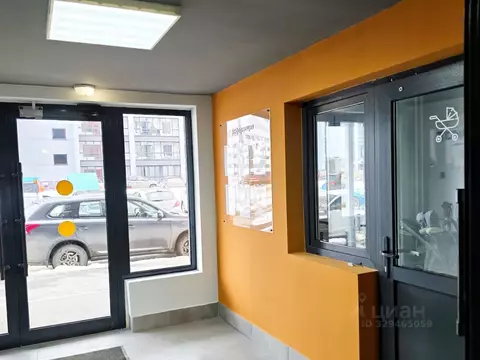 Студия Пермский край, Пермь Целинная ул., 59к1 (22.2 м)