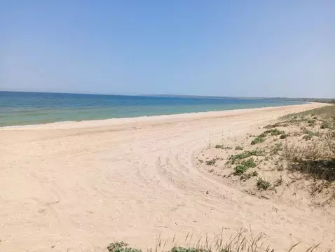 Участок в Крым, Ленинский район, Белинское с/пос, с. Нижнезаморское  ...