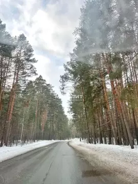 Участок в Татарстан, Пестречинский район, Конское с/пос, с. Конь ул. ...