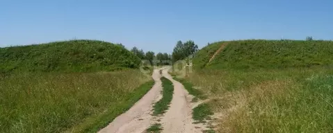 Участок в Владимирская область, Меленковский муниципальный округ, д. ...