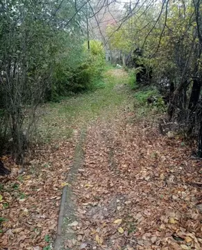 Участок в Новосибирская область, Новосибирск Садоводческого ...