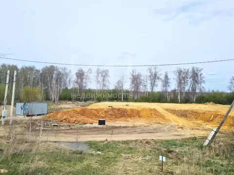 Участок в Челябинская область, Сосновский район, с. Кременкуль, Белые ...