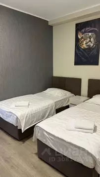 Комната Нижегородская область, Нижний Новгород Проломная ул., 11