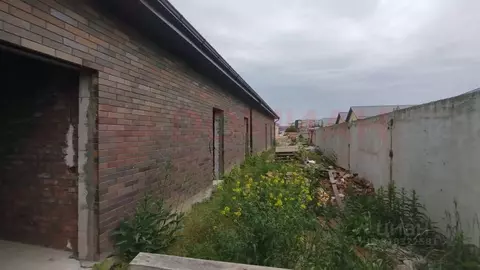 Торговая площадь в Ростовская область, Волгодонск ул. Дружбы, 1А (322 ...