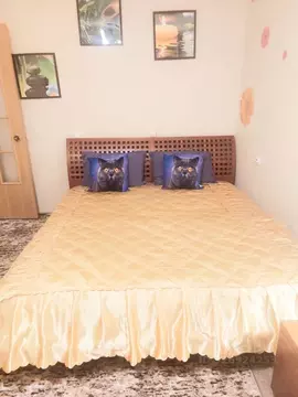 1-к кв. Камчатский край, Петропавловск-Камчатский просп. Рыбаков, 20 ...