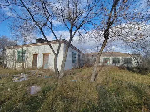 Помещение свободного назначения в Амурская область, Белогорск ...