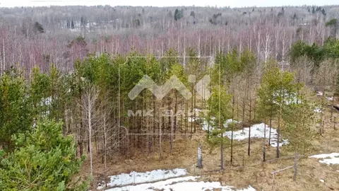 Участок в Ленинградская область, Всеволожский район, Куйвозовское ...