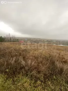 Участок в Белгородский район, Бессоновское сельское поселение, СТ ...