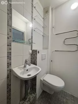 1-комнатная квартира: Пушкин, бульвар Алексея Толстого, 15 (28.5 м)