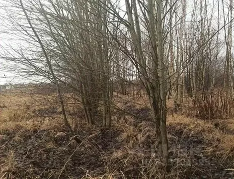 Участок в Московская область, Дмитровский муниципальный округ, с. ...