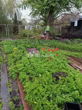 Участок в Московская область, Домодедово Березка СНТ, ул. Никитинская, ...