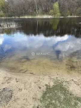 Участок в Воронежская область, Новоусманский район, Усманское 1-е ...