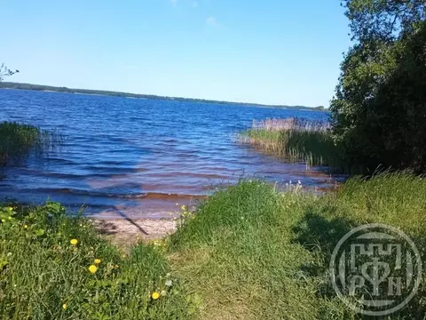 Участок в Ленинградская область, Лужский район, Скребловское с/пос, ...