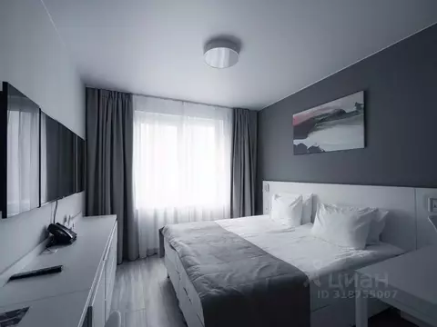 1-к кв. Санкт-Петербург ул. Салова, 61 (24.0 м)