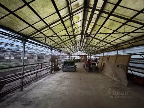 Помещение свободного назначения в Московская область, Коломна ...